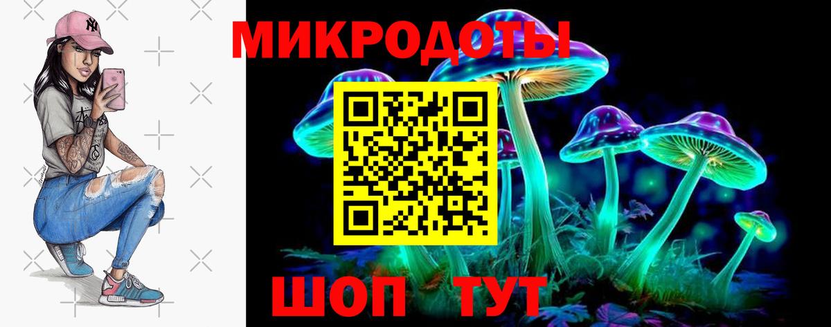 Галлюциногенные грибы Psilocybe  Вход с VPN  Трёхгорный  Галлюциногенные грибы мицелий 